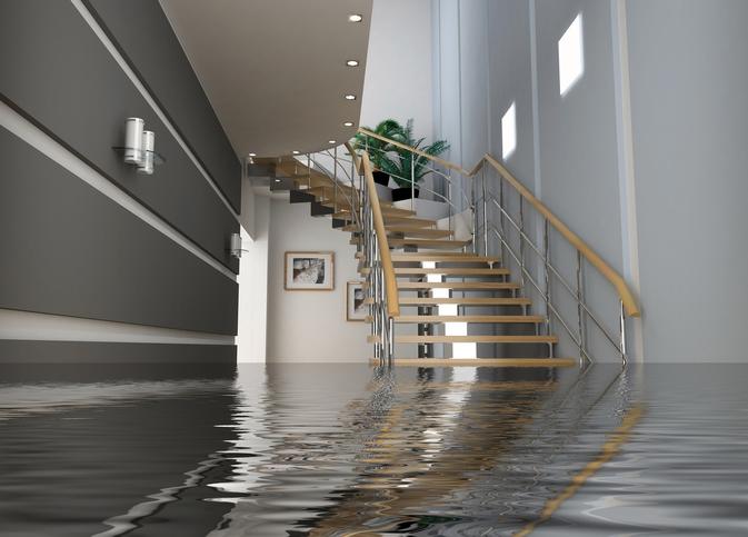 modern interior in Insurance case
