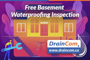 free basement flood protection inspection