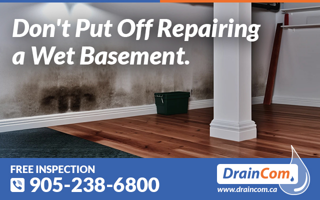 Wet Basement Repair Services in Toronto