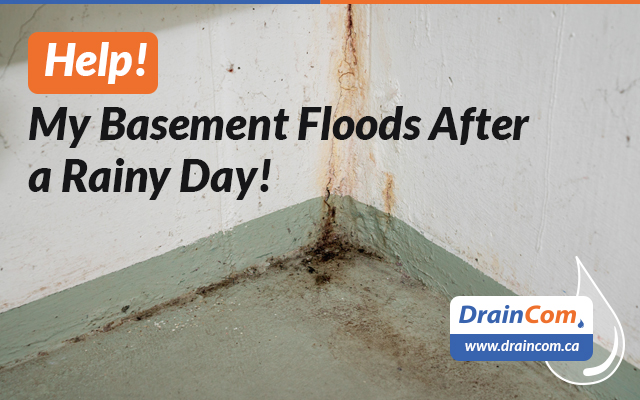 Basement floods after a rainy day in Toronto and the GTA