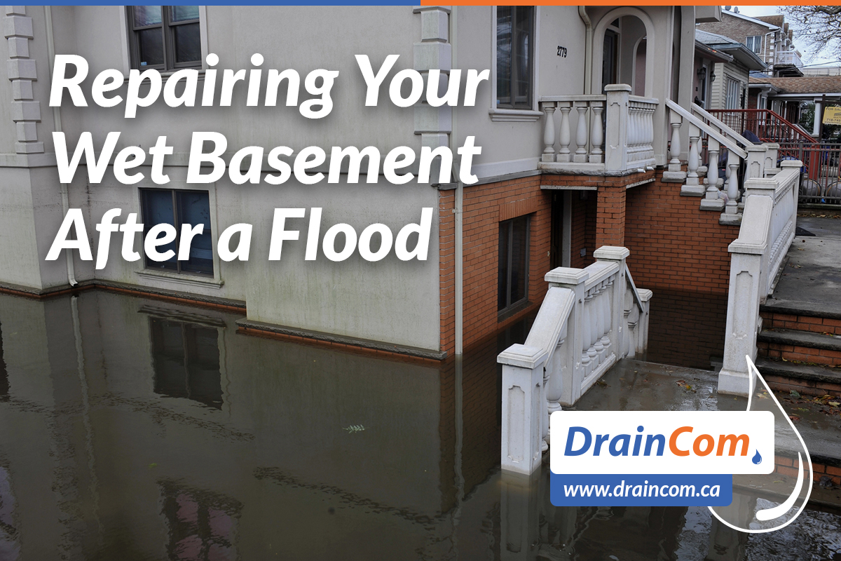 How to Repair a Wet Basement After Mississauga’s Recent Flooding